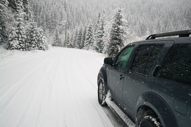 1 Day 4x4 Tour in Carpathian Mountains - Guides make or break the day, and this one has standout names
