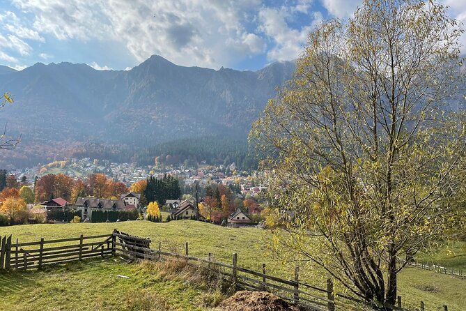 1 Day ATV Tour in Carpathian Mountains - Peles Castle Stop: Royal-Style Wow in Another One Hour