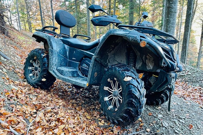 1 Day ATV Tour in Carpathian Mountains - The Carpathian ATV Ride: One Hour of Mountain Air