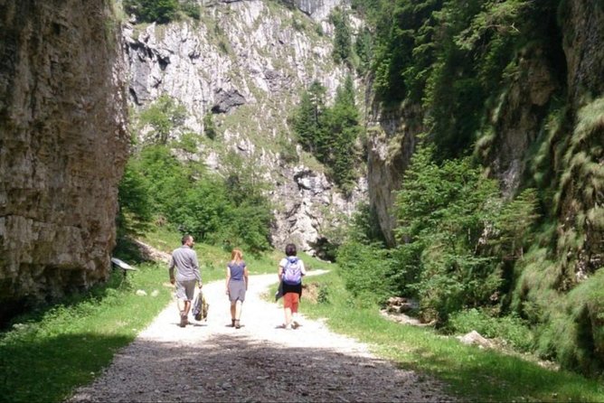 1 day CARPATHIAN PEAKS & CHALETS hike - Stop 2: Prapastiile Zărneștiului and the Gorge Feel