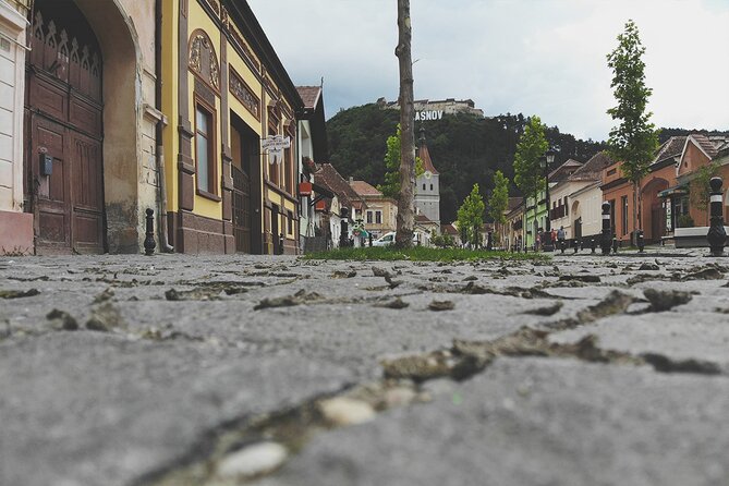 10-Day Private Tour of Romania with Pick Up - Transylvania details: Turda Salt Mine, Alexandru Borza garden, and Surdesti wood church