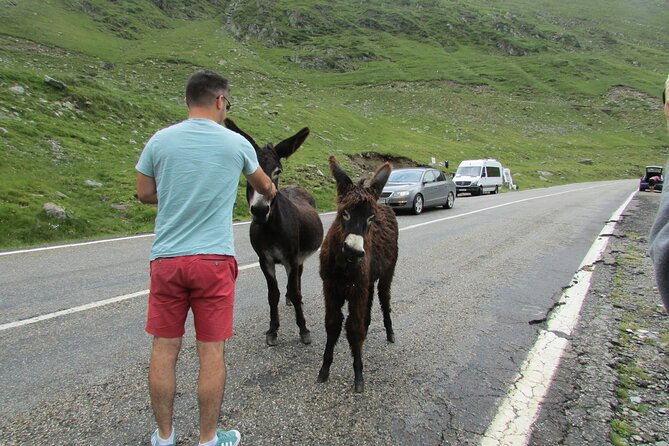 10 Days Private Tour in Romania from Bucharest - Day 6 Wooden monasteries, mountain passes, and painted houses in Bukovina
