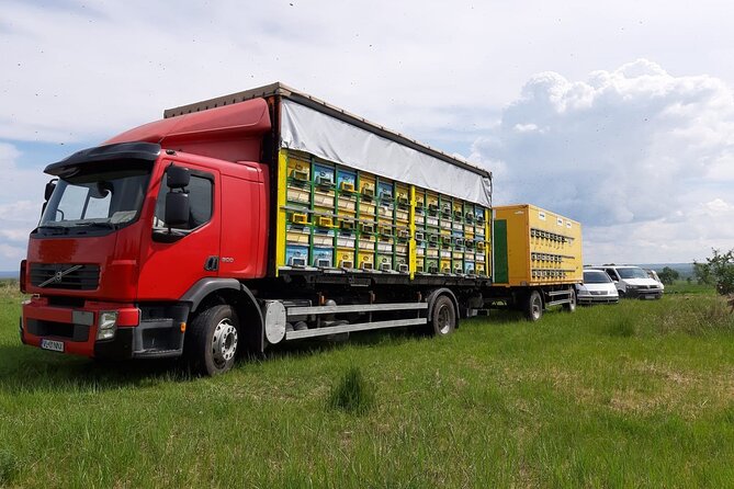 10 hours Private Apiary Tour in Romania - From Bucharest - Inside the apiary with your guide: what you learn and why it matters