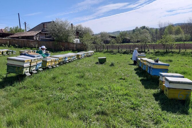 10 hours Private Apiary Tour in Romania - From Bucharest - Who this private apiary day is best for