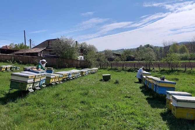 10 hours Private Apiary Tour in Romania - From Bucharest - Price and value: is $290.89 per person a fair deal?