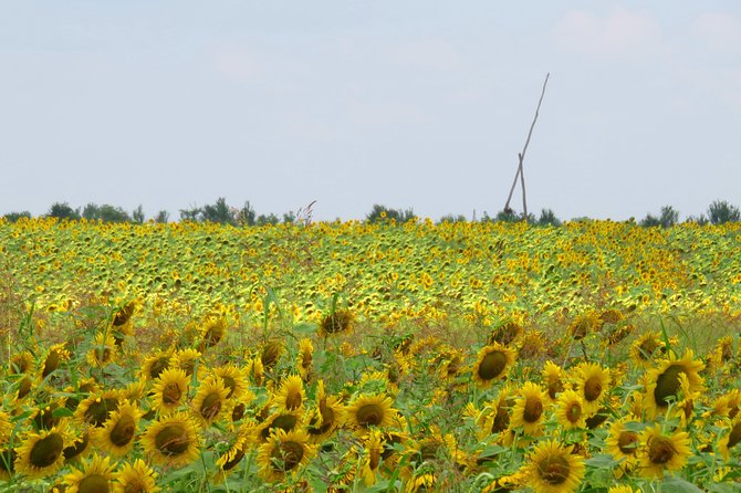 100 km by bike near Bucharest - Price, Bikes, and What You Actually Get for $78.09