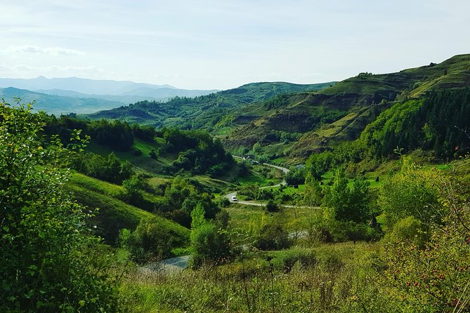11-Day Romania Tour from Bucharest with Transylvania & Bucovina - Mocanita Steam Train and Sapanta: When the Tour Gets More Personal