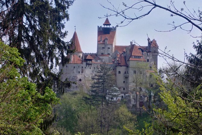2-Day Transylvania Culture Trek from Brasov - Small Group Tour - Key points to decide quickly