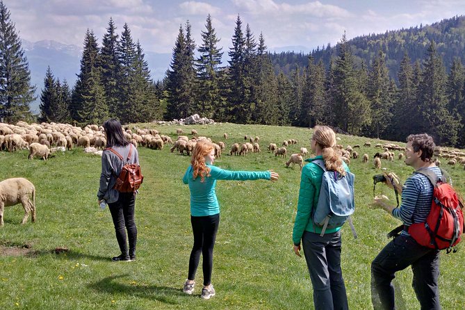 2-Day Transylvania Culture Trek from Brasov - Small Group Tour - Why this trek feels real, not staged
