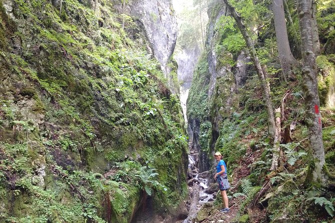 2-Day Transylvania Culture Trek from Brasov - Small Group Tour - Piatra Craiului National Park hiking: 5 to 8 hours that show the region