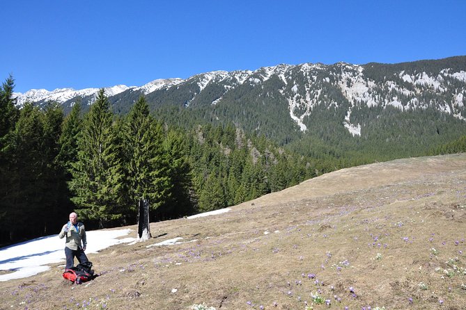 2-Day Transylvania Culture Trek from Brasov - Small Group Tour - Zarnesti Gorges and the end of Day 2