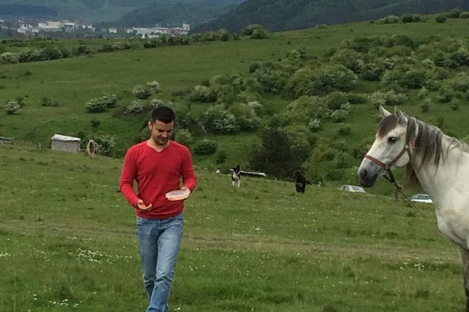 2 Days Private Tour Transfagarasan Road & Sibiu from Bucharest - Should you book this 2-day Transfăgărășan and Sibiu private tour?