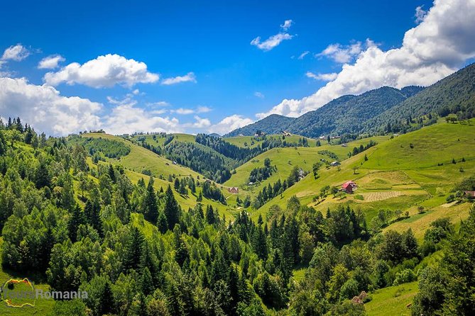 3-Day Tour from Bucharest: Transylvania Villages and Medieval Towns - A 3-day Transylvania route that balances icons and quieter villages