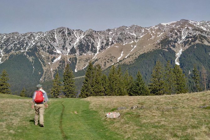 4-Day Carpathian Trek: Bucegi Mountains and Piatra Craiului National Park - Price and What $1,070.46 Really Buys You