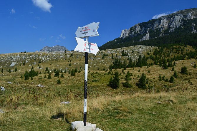 4-Day Carpathian Trek: Bucegi Mountains and Piatra Craiului National Park - Day 1 in Bucegi: Near Bran, Sheep Farm Stop, Real Up and Down