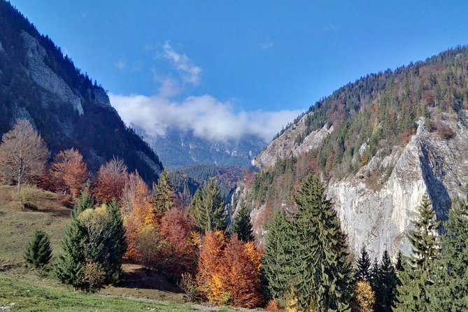 4-Day Carpathian Trek: Bucegi Mountains and Piatra Craiului National Park - Day 3 Through Mountain Villages and Zarnesti Gorges