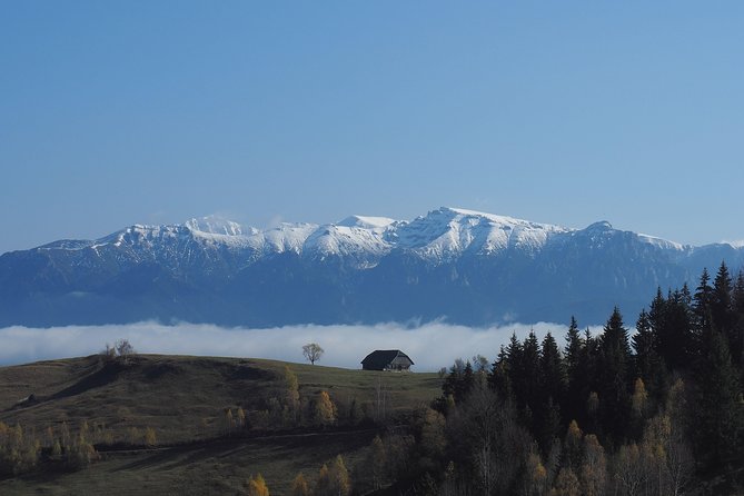 4-Day Carpathian Trek: Bucegi Mountains and Piatra Craiului National Park - Getting Going: Pickup, Start Time, and Small-Group Rhythm