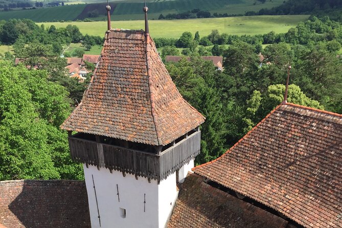 4-Day Private Tour: Bucharest to Budapest via Transylvania - Day 4: A focused Timișoara morning and a relaxing close by the Bega River