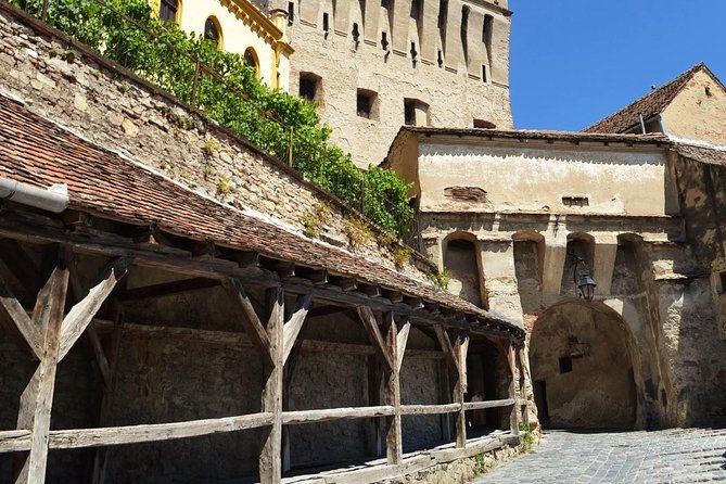 4-Day Private Tour in Transylvania from Bucharest - Day 2: Viscri fortified church, then Sighișoara’s UNESCO citadel