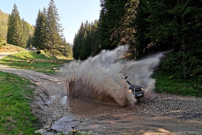4x4 Nature Tour in Land of Dracula - 1 day - The 4x4 Ride, the Drivers, and the Safety Level You Can Count On