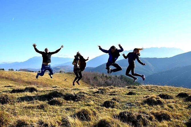 4x4 Nature Tour in Land of Dracula - 1 day - Getting From Bucharest Hotel to the Carpathians, Without the Headache