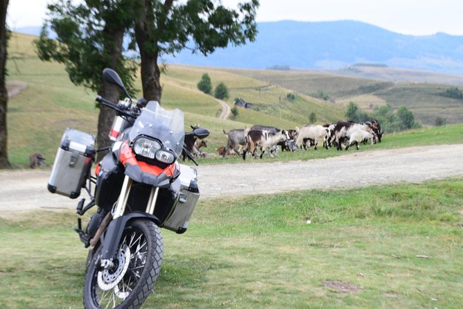 7 Day Best of Transylvania Motorcycle Tour from Cluj - Day 4: Transbucegi switchbacks, Babele Road views, and Peles Castle