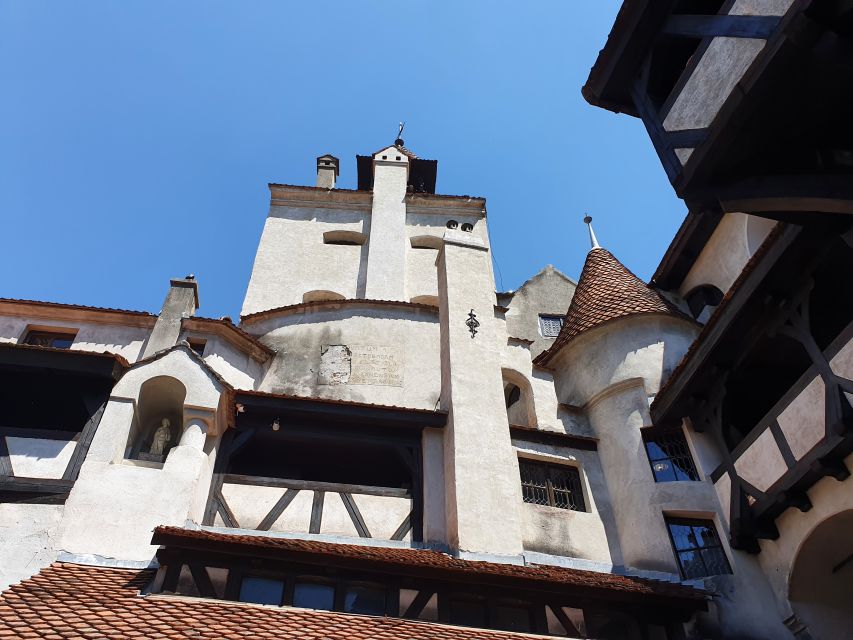 7h Dracula's Castle Private Tour from Bucharest - Fast Tour - Guide language support, and why it matters at Bran