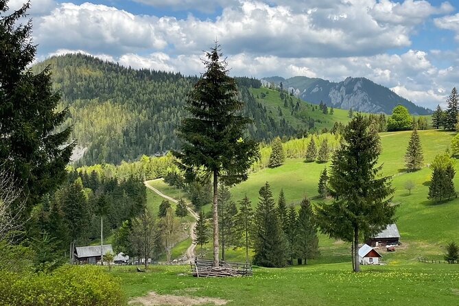 Adventure day trip from Iasi | Hiking in the Carpathian Mountains - Bicaz Gorges hiking: where the cliffs and streams do the talking