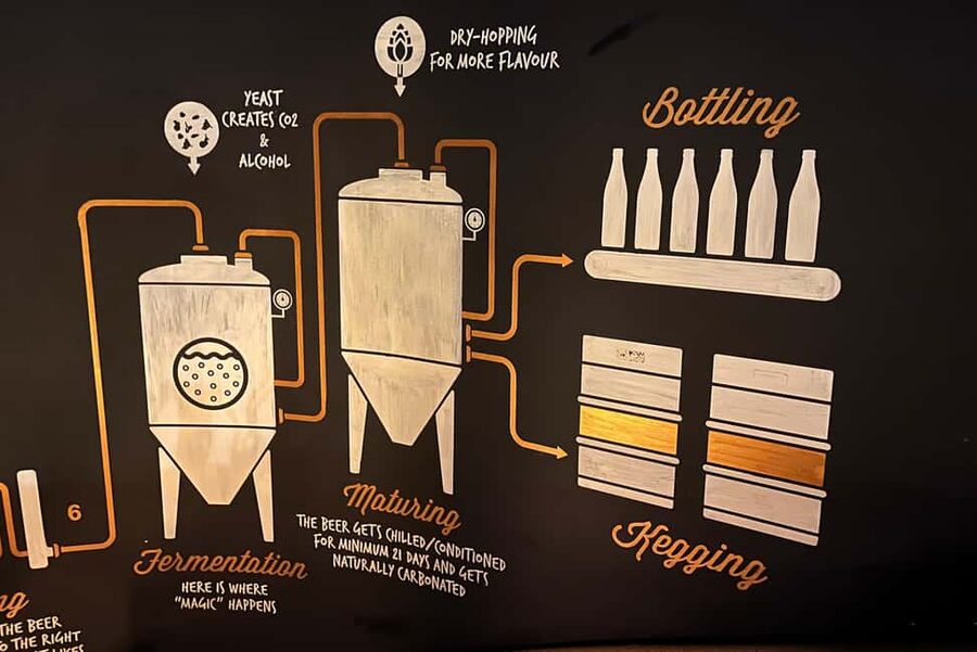 Artisanal Beer Tasting - Why this Bucharest craft beer tasting is a smart plan