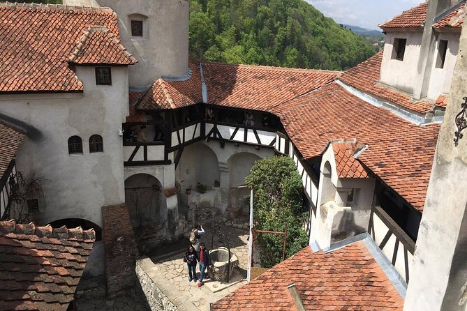 Bear Sanctuary and Bran Castle from Brasov - How the pacing usually works (4 to 5 hours, two focused stops)