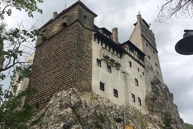 Bear Sanctuary and Bran Castle from Brasov - The group size benefit (and why it shows up in real life)