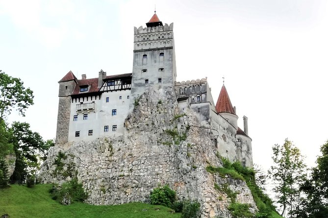 Bear Sanctuary and Dracula's Castle, 1-day Private Tour - Price and Value: Why It Costs More Than a DIY Day