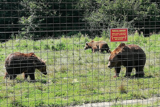Bear Sanctuary and Dracula's Castle, 1-day Private Tour - Tickets, Waiting, and the Best Way to Handle Extra Costs
