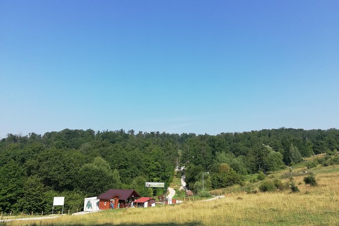 Bear Sanctuary and Dracula's Castle, 1-day Private Tour - Libearty Bear Sanctuary Zarnesti: Rehab Stories and a Visit With Real Atmosphere
