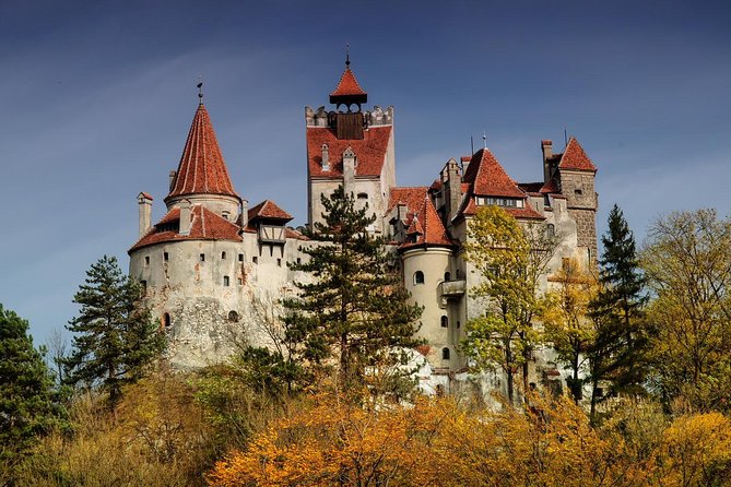 Bear Sanctuary, Bran (Dracula) Castle, Peles Castle From Brasov - Getting from Brasov: Pickup, Transport, and Timing Reality