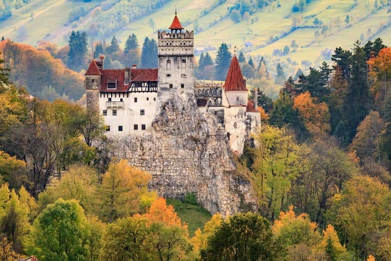 Bear Sanctuary, Dracula's Castle and Brasov | Private Tour - Liberty Bear Sanctuary Zarnesti: The Most Moving Part of the Day