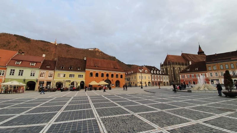 Bear Sanctuary, Dracula's Castle and Brasov | Private Tour - Comfort, Timing, and Practical Tips That Keep the Day Pleasant