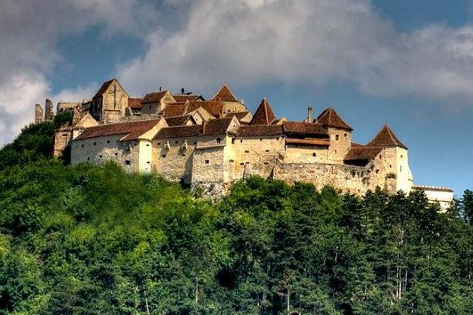 Bear Sanctuary & Rasnov Fortress - Private day tour from Bucharest - Price and value: is $184.62 per person fair?