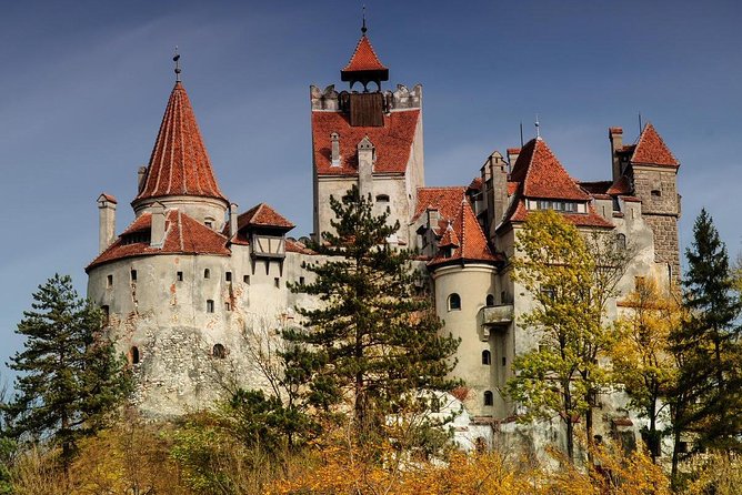 Bear Sanctuary Zarnesti,Bran Castle,Rasnov Fortres w/Hotel pickup - Transylvania in a Single Day: How This 8-Hour Loop Works
