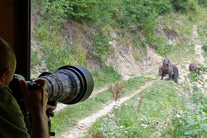 Bear watching experience near Brasov - The bear hide on wooden pillars, about 3 meters up