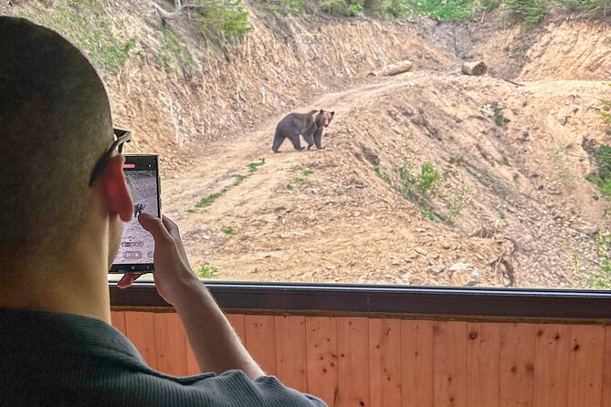 Bear Watching In Brasov: Observe Wild Bears From A Hideout (100%) - Binocular Tip and Other Practical Gear You Actually Need