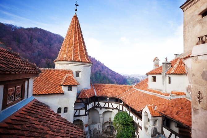 Bears Sanctuary, Dracula Castle and Poiana Brasov-Private day tour from Brasov - A smart way to do Dracula without burning your day