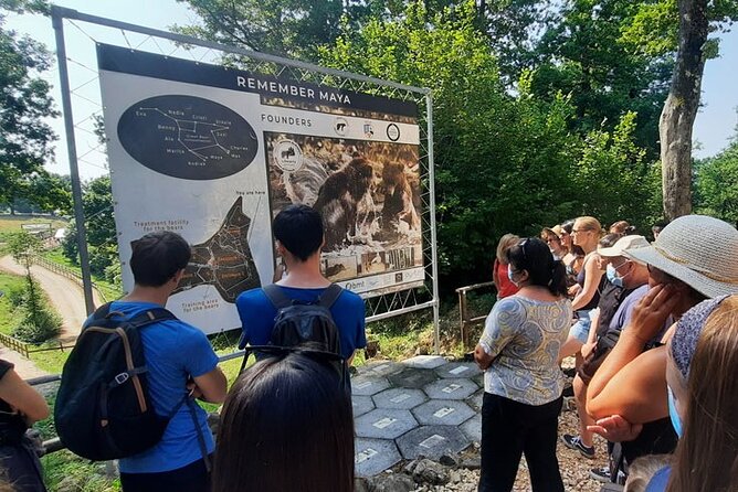 Bears Sanctuary, Dracula Castle and Poiana Brasov-Private day tour from Brasov - Poiana Brasov: a mountain resort break that doesn’t feel rushed