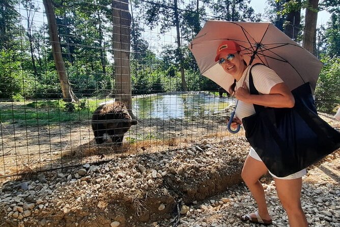 Bears Sanctuary, Dracula Castle and Poiana Brasov-Private day tour from Brasov - The guide makes it more than three stops