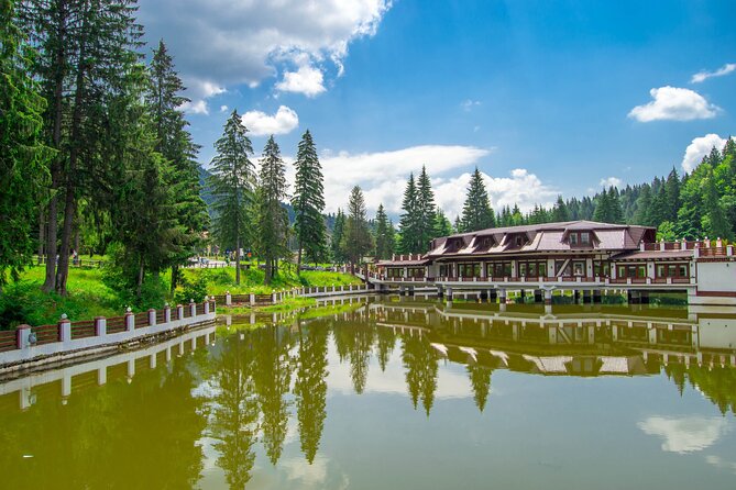 Bears Sanctuary, Dracula Castle and Poiana Brasov-Private day tour from Brasov - Value and cost: is it worth $98.64?
