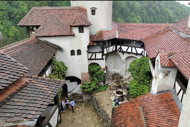 Bears Sanctuary, Dracula's Castle and Brașov City - Private Tour - Libearty Bear Sanctuary Zarnesti: rescue stories you can actually see