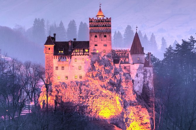 Bears Sanctuary, Dracula's Castle, Brasov Day Trip Private Tour from Bucharest - Who should book this private day trip