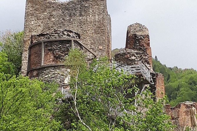 Bears Sanctuary, Dracula's Castle, Brasov Day Trip Private Tour from Bucharest - Should you book this tour?