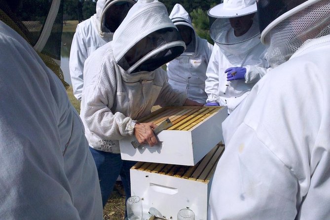 Beekeeping Day Trip| Private Guided Tour from Bucharest - Key Things That Make This Tour Worth Your Time