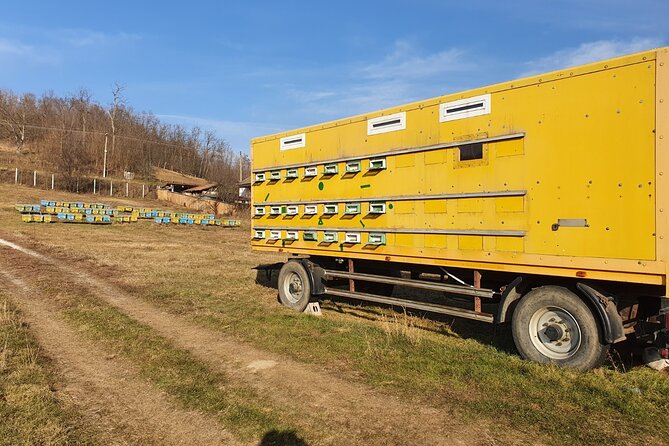 Beekeeping Day Trip| Private Guided Tour from Bucharest - Hive Work in Real Life: Harvesting Demo and How the Process Clicks